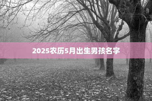 2025农历5月出生男孩名字