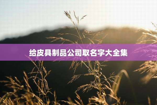 给皮具制品公司取名字大全集