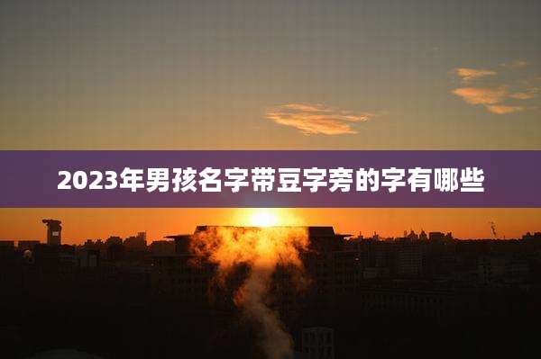 2023年男孩名字带豆字旁的字有哪些