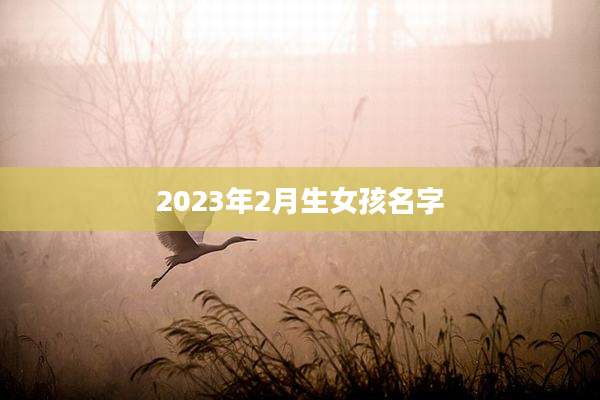 2023年2月生女孩名字