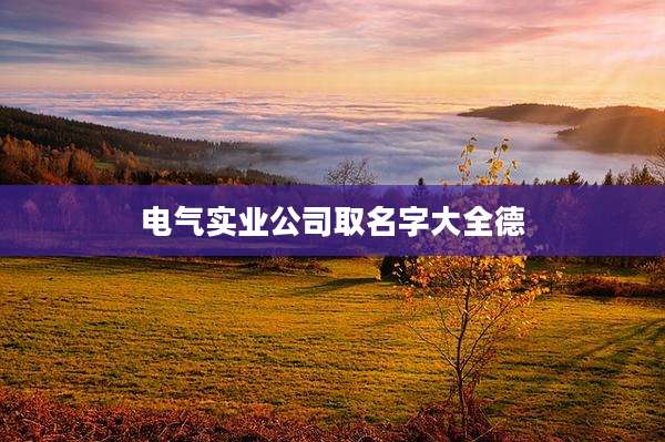 电气实业公司取名字大全德