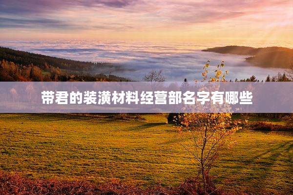 带君的装潢材料经营部名字有哪些