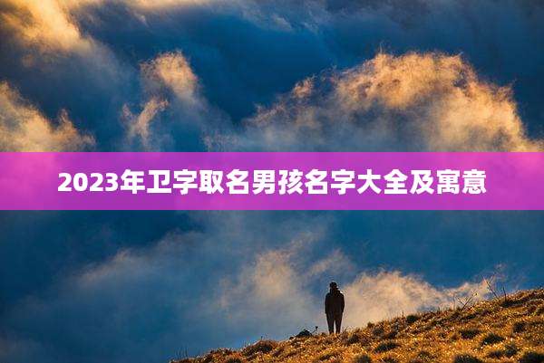 2023年卫字取名男孩名字大全及寓意