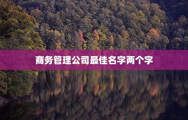 商务管理公司最佳名字两个字