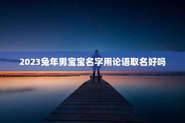 2023兔年男宝宝名字用论语取名好吗
