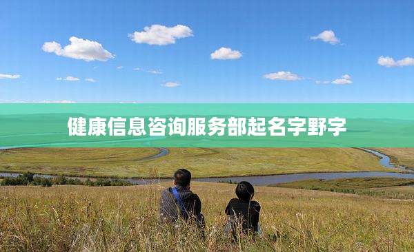 健康信息咨询服务部起名字野字