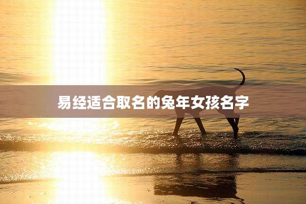 易经适合取名的兔年女孩名字