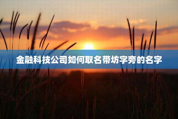 金融科技公司如何取名带坊字旁的名字