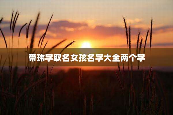带玮字取名女孩名字大全两个字