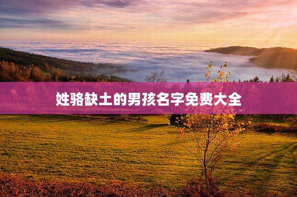 姓骆缺土的男孩名字免费大全