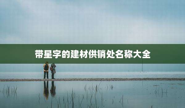 带星字的建材供销处名称大全