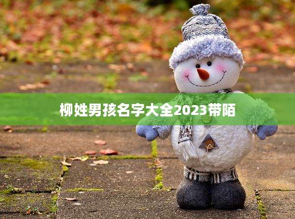 柳姓男孩名字大全2023带陌