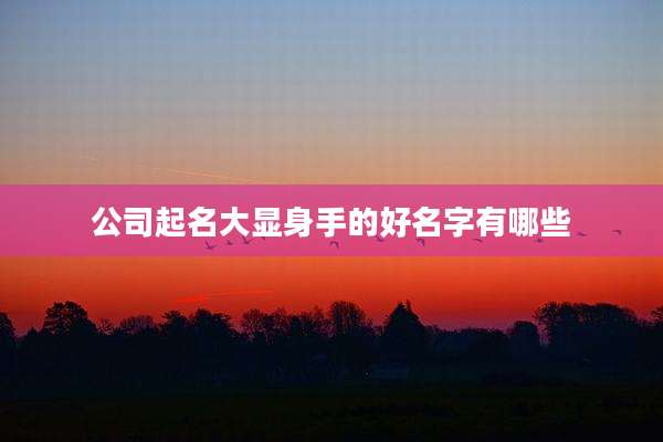 公司起名大显身手的好名字有哪些
