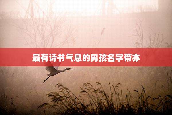 最有诗书气息的男孩名字带亦