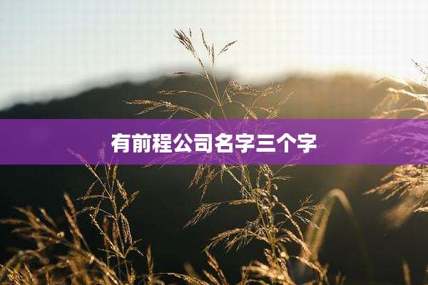 有前程公司名字三个字