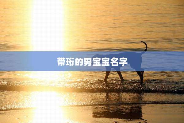 带珩的男宝宝名字