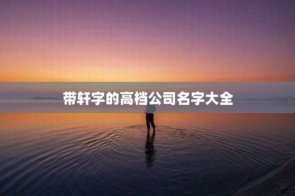 带轩字的高档公司名字大全