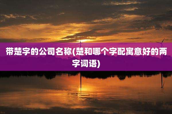 带楚字的公司名称(楚和哪个字配寓意好的两字词语)