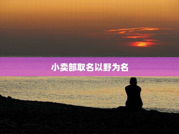 小卖部取名以野为名
