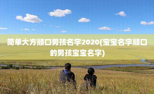 简单大方顺口男孩名字2020(宝宝名字顺口的男孩宝宝名字)