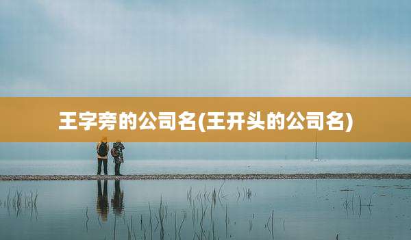 王字旁的公司名(王开头的公司名)