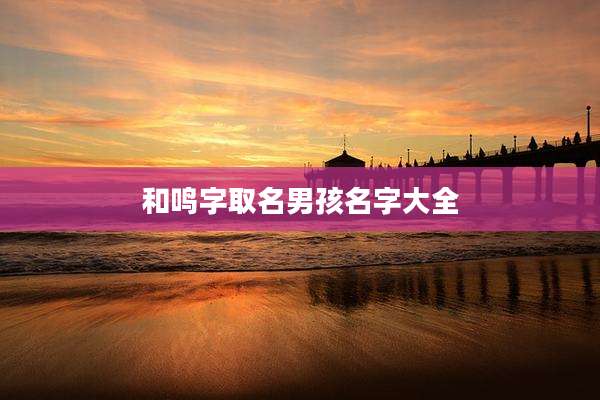 和鸣字取名男孩名字大全