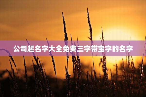 公司起名字大全免费三字带宝字的名字