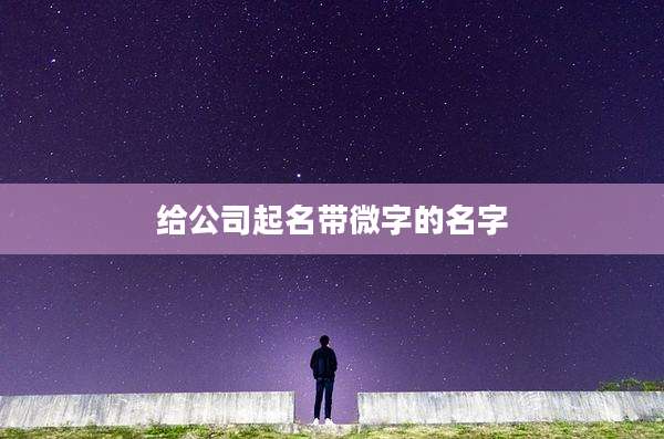 给公司起名带微字的名字