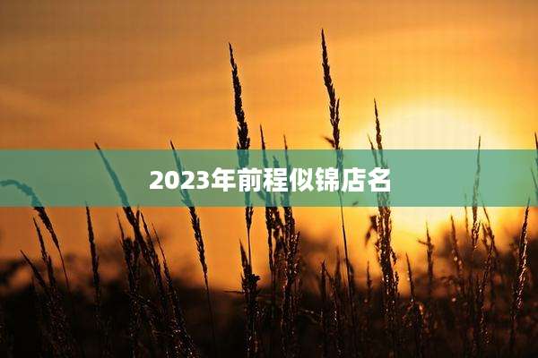 2023年前程似锦店名