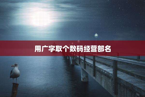 用广字取个数码经营部名