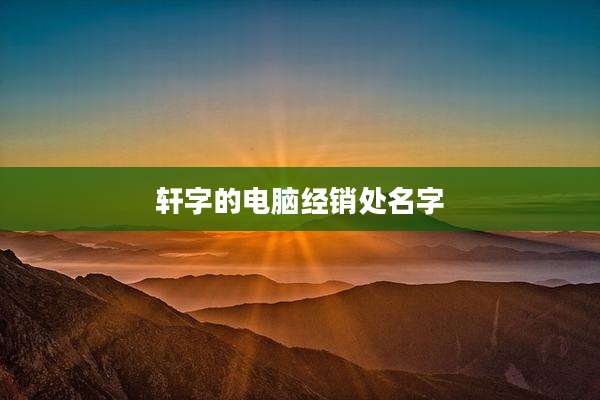 轩字的电脑经销处名字