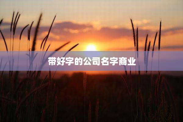 带好字的公司名字商业