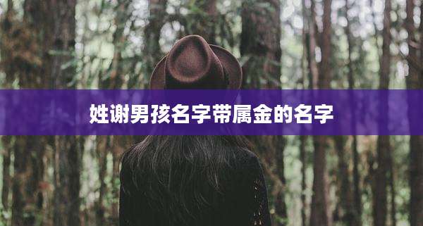 姓谢男孩名字带属金的名字