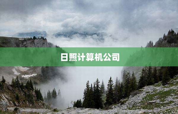 日照计算机公司