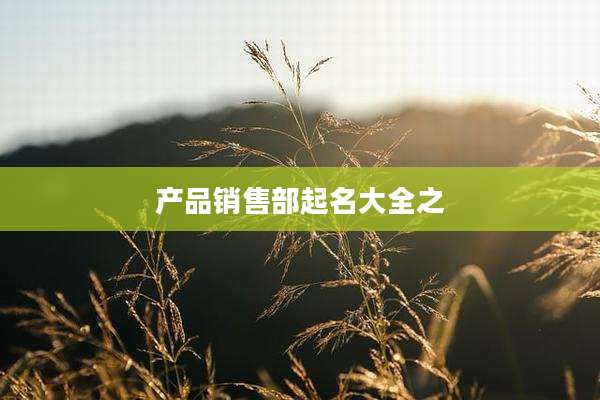 产品销售部起名大全之