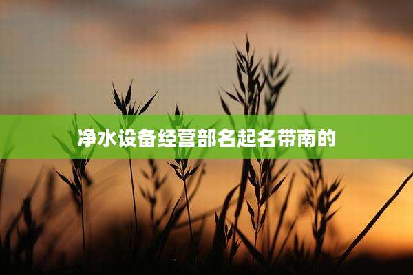 净水设备经营部名起名带南的