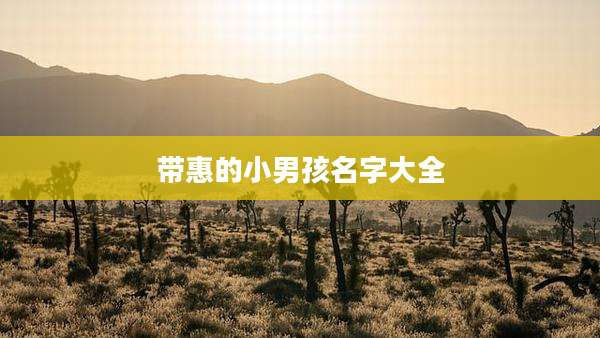 带惠的小男孩名字大全