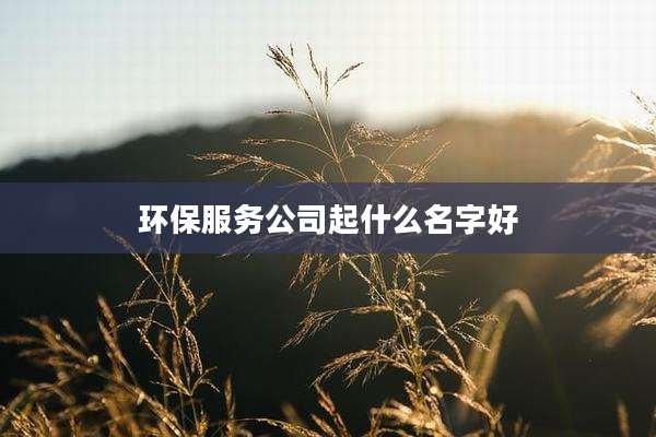 环保服务公司起什么名字好