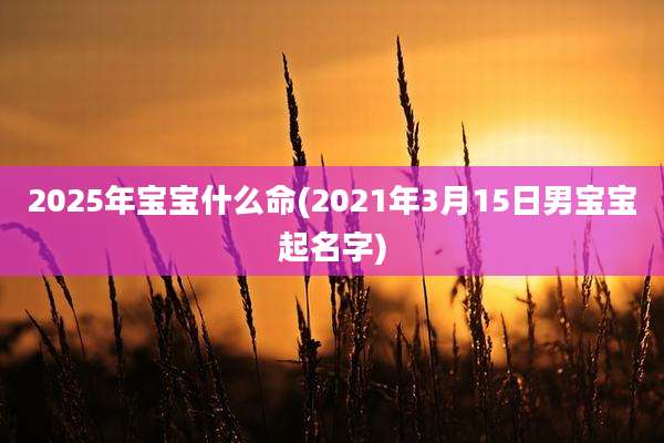 2025年宝宝什么命(2021年3月15日男宝宝起名字)