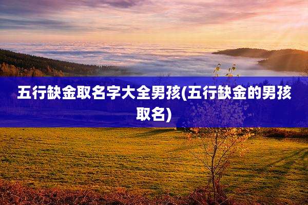 五行缺金取名字大全男孩(五行缺金的男孩取名)