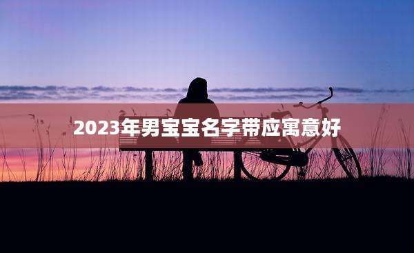 2023年男宝宝名字带应寓意好