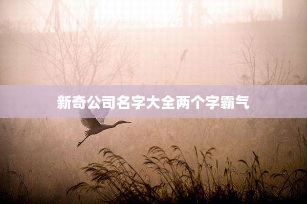 新奇公司名字大全两个字霸气
