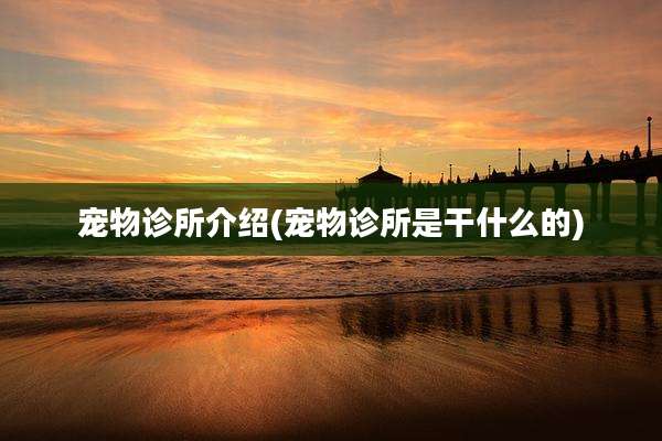 宠物诊所介绍(宠物诊所是干什么的)