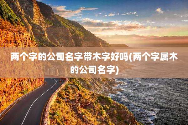 两个字的公司名字带木字好吗(两个字属木的公司名字)