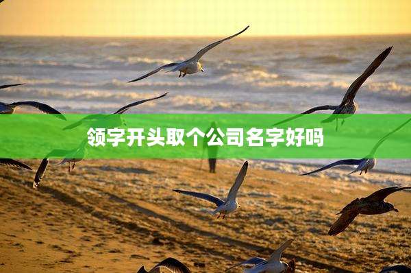 领字开头取个公司名字好吗