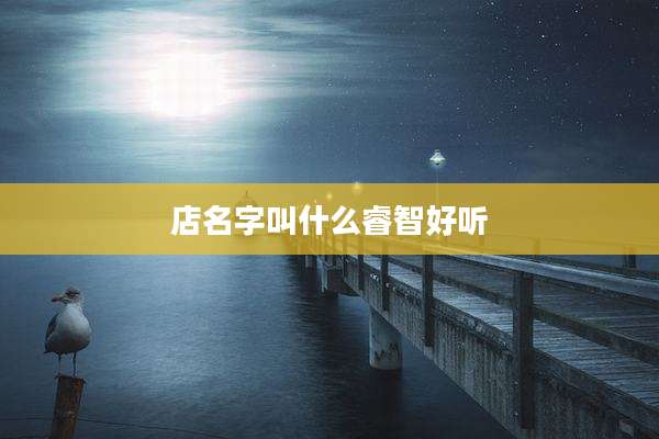 店名字叫什么睿智好听