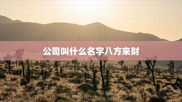 公司叫什么名字八方来财