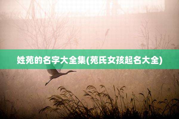 姓苑的名字大全集(苑氏女孩起名大全)