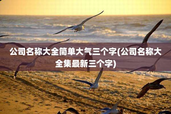 公司名称大全简单大气三个字(公司名称大全集最新三个字)