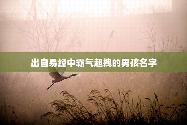 出自易经中霸气超拽的男孩名字
